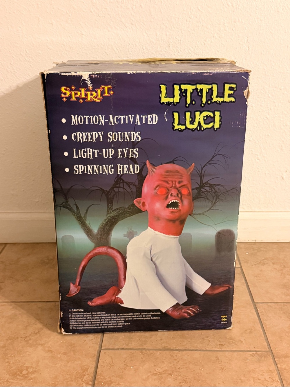 Spirit little luci
